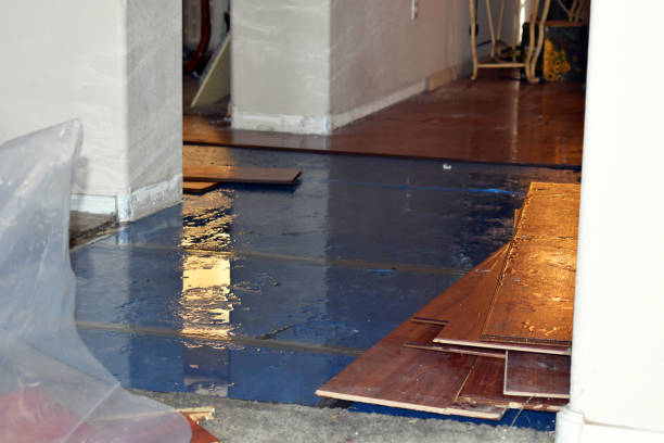 Professional Emergency Water Damage Restoration technician working in Ponder, TX